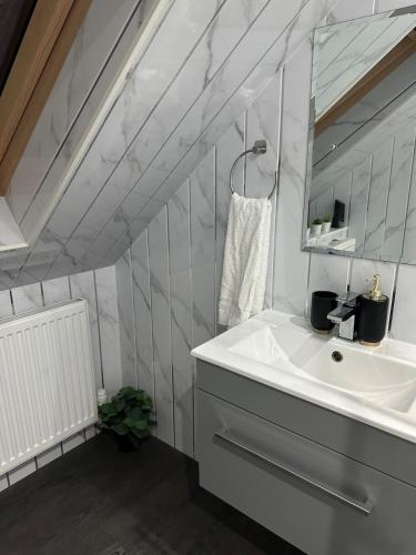a bathroom with a sink and a mirror at A Cosy and Spacious Studio Flat in Navestock