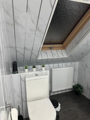 a bathroom with a white toilet with plants on the ceilings at A Cosy and Spacious Studio Flat in Navestock