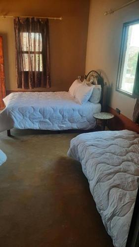 a bedroom with two beds and a window at Maison d'hôtes chez l'habitant Asfalou in Ouarzazate
