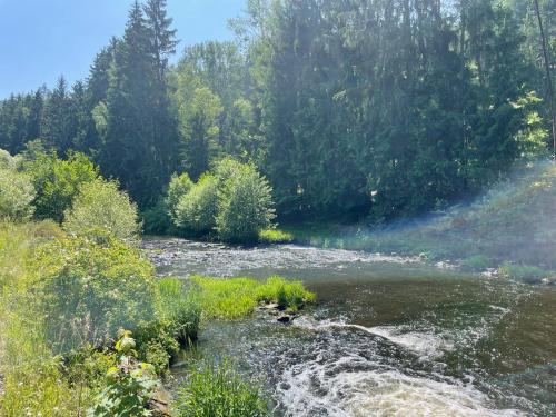 a river with trees on the side of it at Wellness Retreat Glamping - Adults Only - Forest & Valley in Pirkenhammer