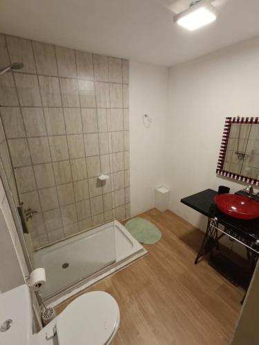 a bathroom with a toilet and a glass shower at Casa Hebe - En las sierras de Córdoba - cuenta con tres habitaciones y capacidad para 8 personas, tranquila con increibles vistas in Villa Parque Siquiman