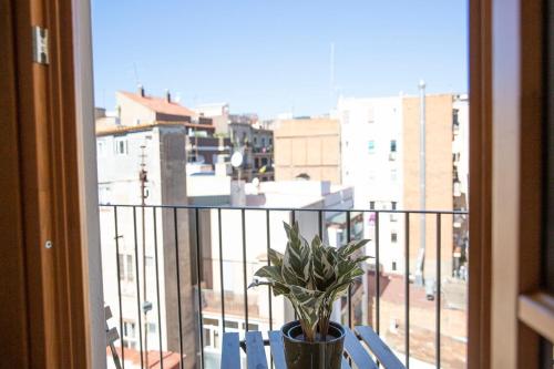 Barcelona - Gracia 4-A