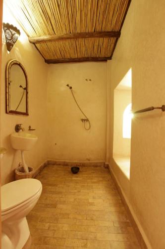 a bathroom with a toilet and a shower in it at Dar Rio Oro in Dakhla