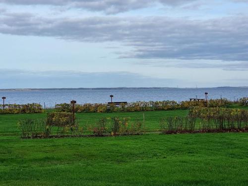 6 person holiday home in Hejls في Hejls: حقل أخضر مطل على الماء