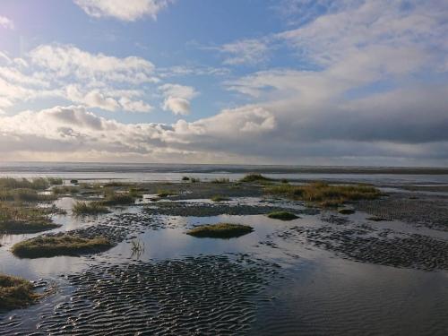 an aerial view of a body of water with grass at 4 person holiday home in Fanø-By Traum in Fanø