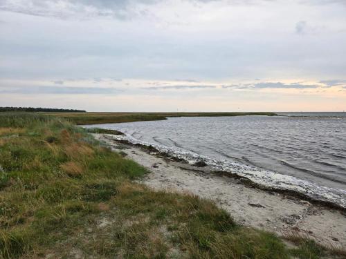 a large body of water with some grass and weeds at 6 person holiday home in Hadsund-By Traum in Øster Hurup