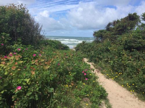 a dirt path leading to a beach with flowers at Secluded Oasis with Pool - By Traum Ferienwohnungen in Skram