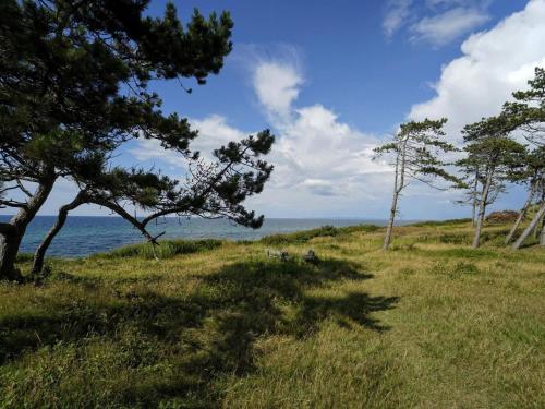 a field of grass with trees and the ocean at Luxury Pool Villa in Dronningmolle - By Traum Ferienwohnungen in Gilleleje