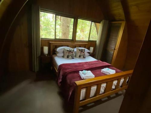 a bedroom with a bed with pillows and a window at Springbrook Mountain Chalets in Springbrook