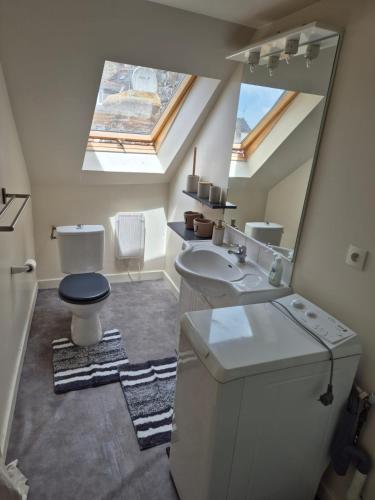 a bathroom with a toilet and a sink and a mirror at L'Écrin Urbain - Centre St Brieuc in Saint-Brieuc