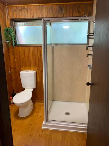 a bathroom with a toilet and a glass shower at Springbrook Mountain Chalets in Springbrook