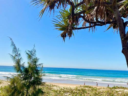 a beach with palm trees and the ocean at Sea View Hotel Room Heart of Surfers Paradise in Gold Coast