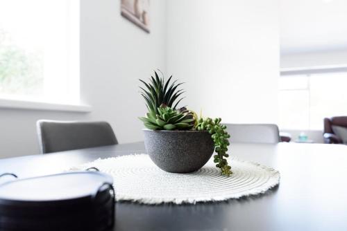 a potted plant sitting on top of a table at Modern Ease in East Devonport in Devonport