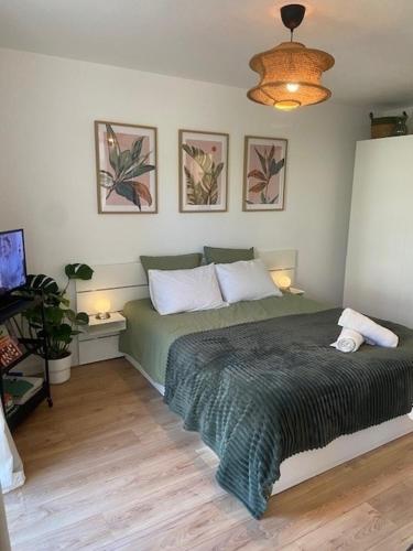 Studio Premium Haguenau cosy, tout équipé, calme, balcon