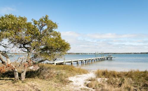 a dock on a lake with a tree and the water at Harkers Hideaway - Waterfront with Private Beach in Harkers Island