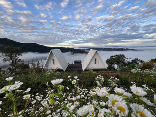 two white houses on a hill with a field of flowers at Mr Shin Farmstay นย๊อยง ฟาร์มสเตย์ in Ban Mae Nam Khaem