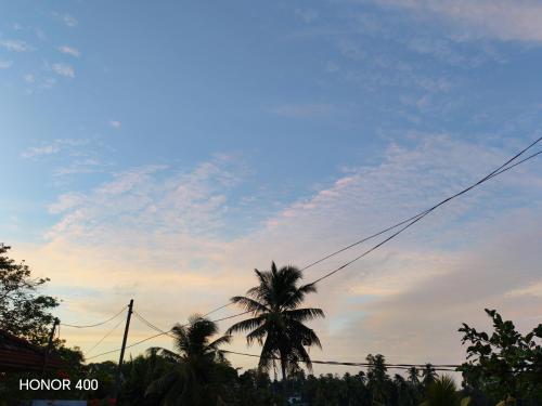 a palm tree in front of a cloudy sky at Ely Field Villa in Galle