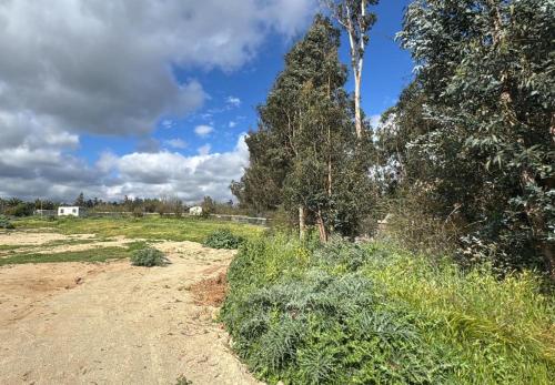 Fotografie z fotogalerie ubytování Alojamiento cabañas en Casablanca v destinaci Casablanca
