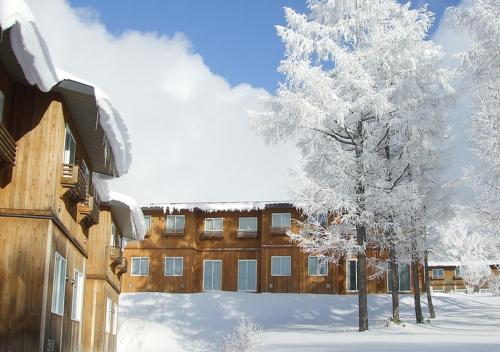 a building covered in snow next to a tree at 蔵王ライザウッディロッジ in Kaminoyama