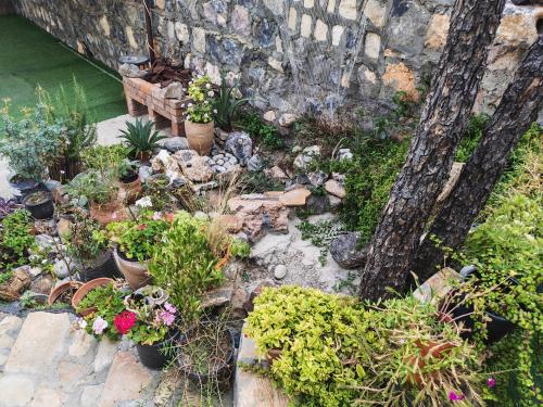 Zahrada ubytování Al Jabal Alakhdar Bayt alhagar residance الجبل الأخضر بيت الحجر شاليه