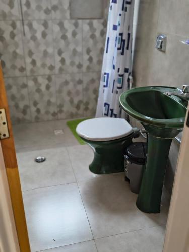 a bathroom with a green toilet and a green sink at Natureza Presente in São Lourenço
