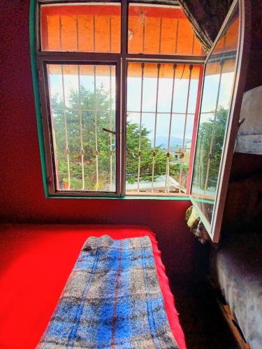 a room with a window and a rug on the floor at Historika Hostel Cultural in San Cristóbal de Las Casas