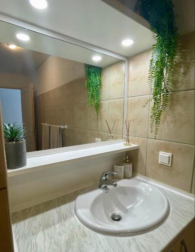 Un baño de PapeeteHome