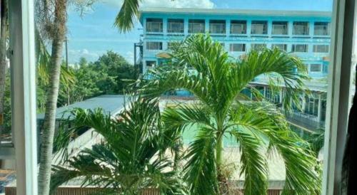 a view of a palm tree from a window at New Siya in Maha Sarakham