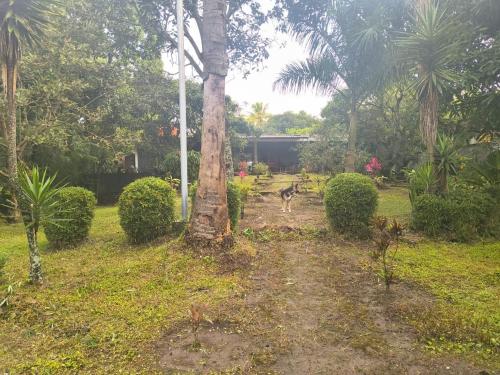 Billede fra billedgalleriet på Quinta Kartagus i La Libertad