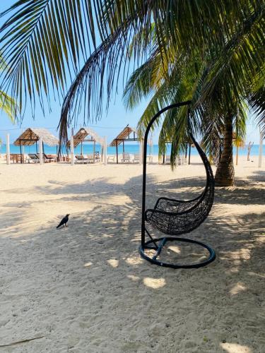 a bird is standing next to a swing on a beach at NN Beach Resort Nilaveli in Nilaveli