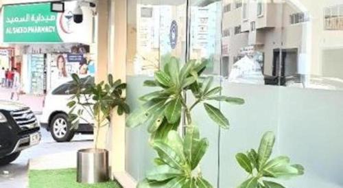 two potted plants in front of a store at Lotus Furnished Hotel Apartments LLC. Ajman in Ajman 