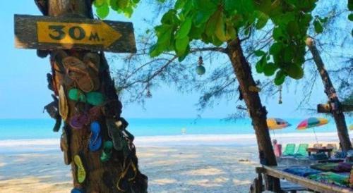 a tree with a speed limit sign on a beach at Longbeach Kohphayam in Ko Phayam