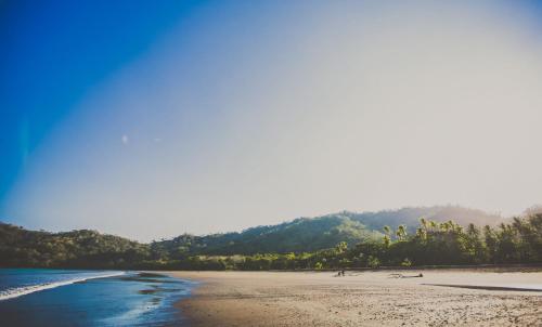 a beach with trees and a mountain in the background at Tambor Tropical Beach Resort- Adults Only in Tambor