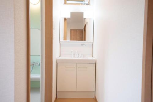 a bathroom with a white sink and a mirror at Villa Gotemba Retreat in Gotemba