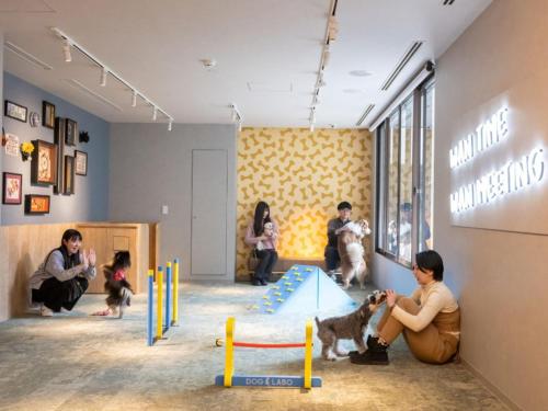 a group of people playing with dogs in a room at hotel anddoggy Kyoto Nijo in Kyoto