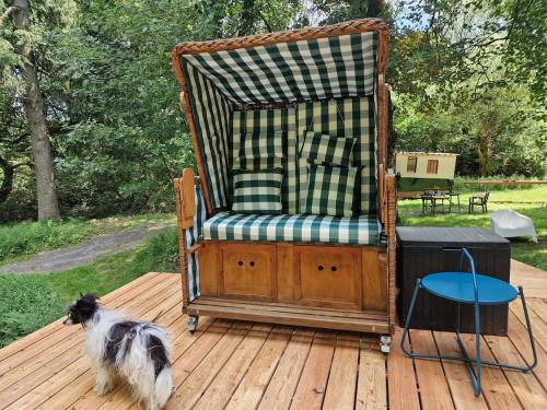 a rocking chair on a deck with a dog at Bootshaus Froschkönig übernachten über dem Weiher in Hundsdorf