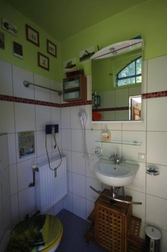a bathroom with a sink and a mirror at Bootshaus Froschkönig übernachten über dem Weiher in Hundsdorf