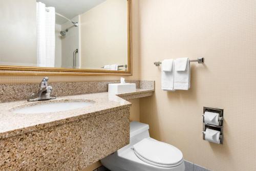a bathroom with a toilet and a sink and a mirror at Quality Inn & Suites Charleston - Civic Center in Charleston