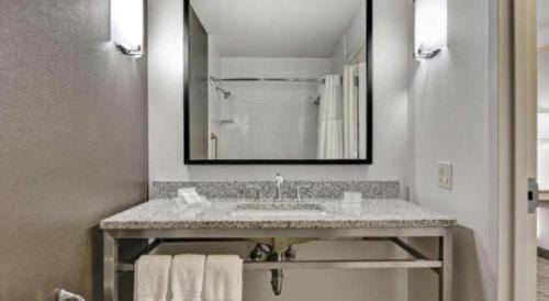 a bathroom with a sink and a mirror at Hilton Garden Inn Oshkosh in Oshkosh