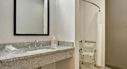 a bathroom with a sink and a mirror at Hilton Garden Inn Oshkosh in Oshkosh