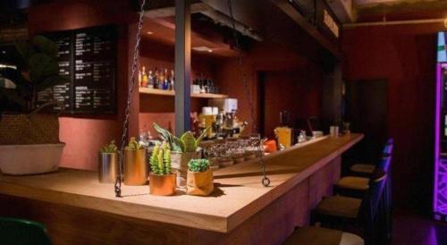 a bar with potted plants on the counter in a restaurant at YUNIK-Shanghai Zhongshan Park Yan'an Xi Road in Shanghai