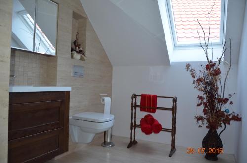 a bathroom with a toilet and a sink and a window at Apartament cetrum Mrągowo in Mrągowo