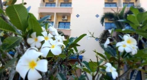 a bush with white flowers in front of a building at Ritzy House Hotel in Chumphon