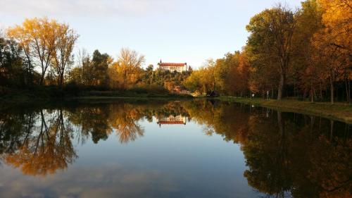 a river with trees and a building in the background at Apartment Altes Kino in Sitzenberg