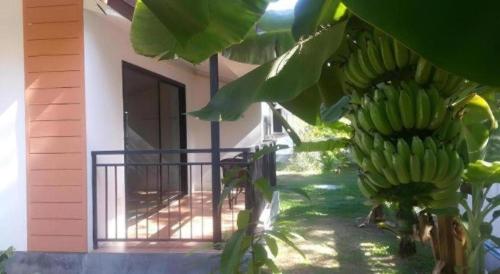 a bunch of bananas hanging from a tree in front of a house at Phakawan Hotel in Maha Sarakham