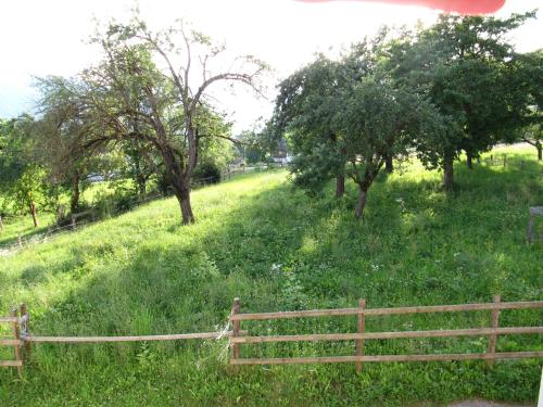 Zahrada ubytování Donisbauerhof