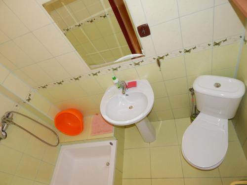 a small bathroom with a sink and a toilet at Pokoje nad Potokiem in Solina
