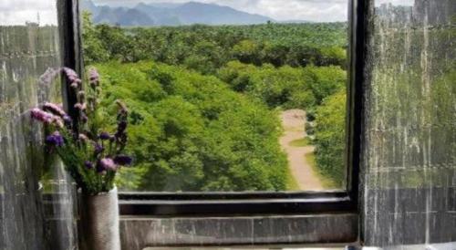 a vase of flowers in a window with a view at B2 Krabi Premier Hotel in Ao Nang Beach