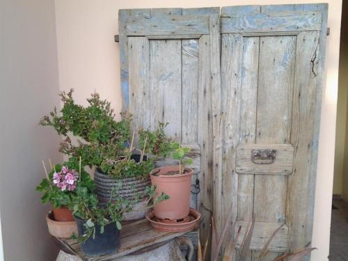 uma porta de madeira com vasos de plantas sobre uma mesa em Windy Place em Fourfourás