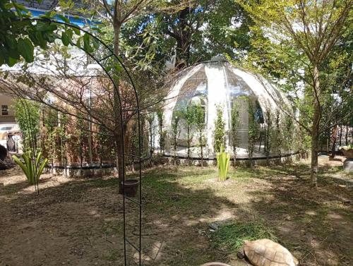 a glass greenhouse in a garden with trees at V20 Boutique Jacuzzi Hotel in Bangkok